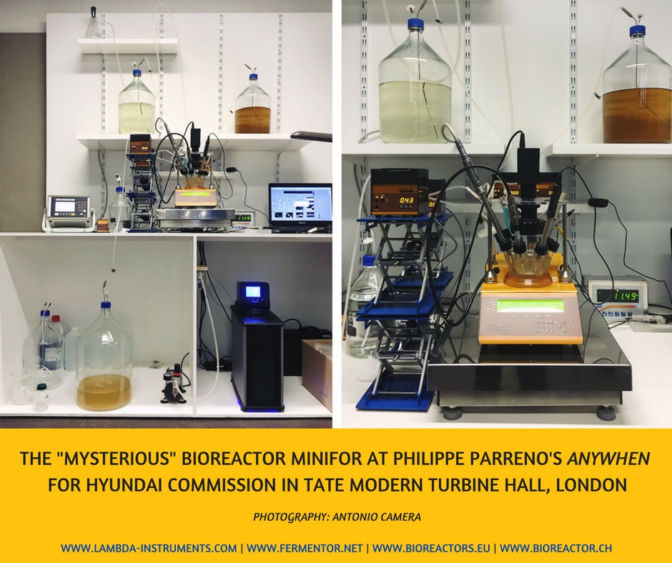 “Mysterious Bioreactor” at Tate Modern, London “Mysterious Bioreactor” at Tate Modern, London