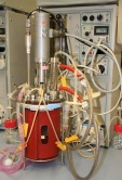 Configuración de un bioreactor de laboratorio tradicional
